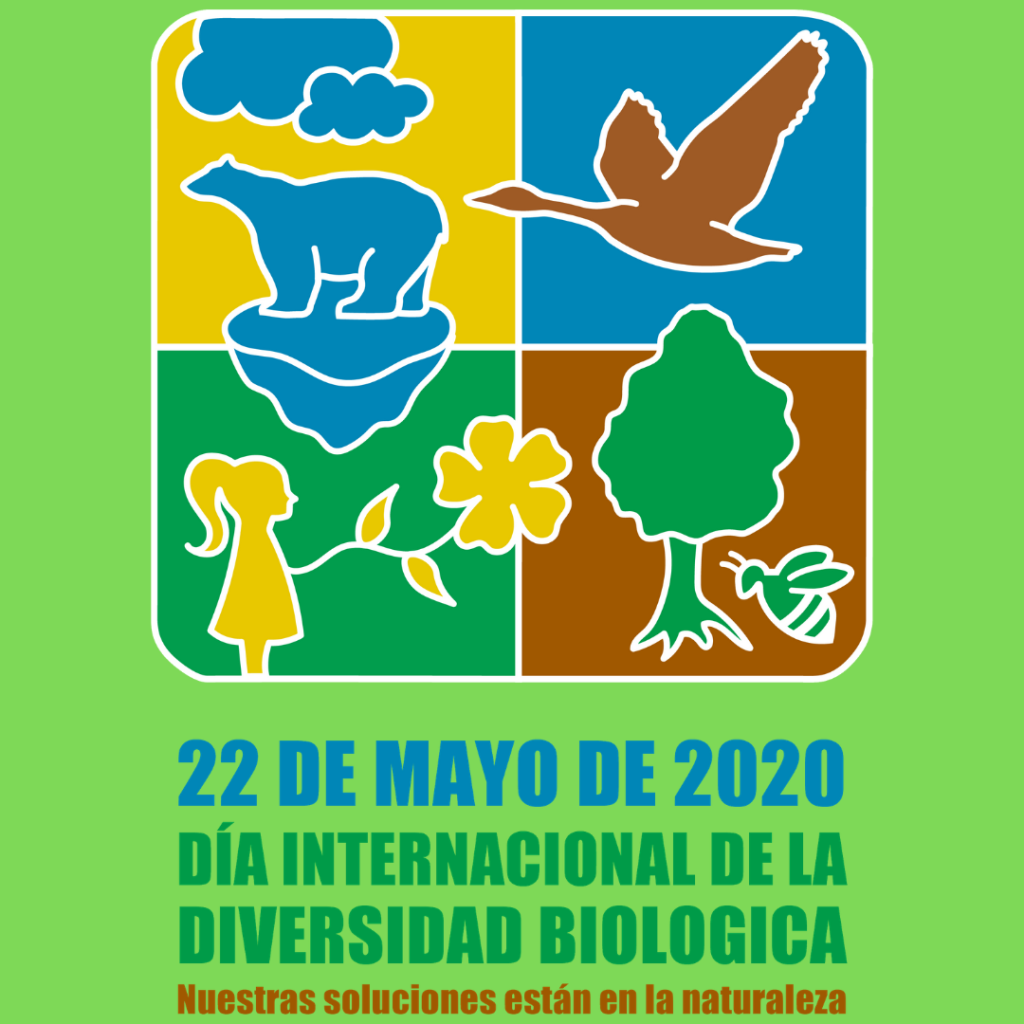 22 de Mayo es el Día Mundial de la Biodiversidad - Tarjetas e Imágenes ...
